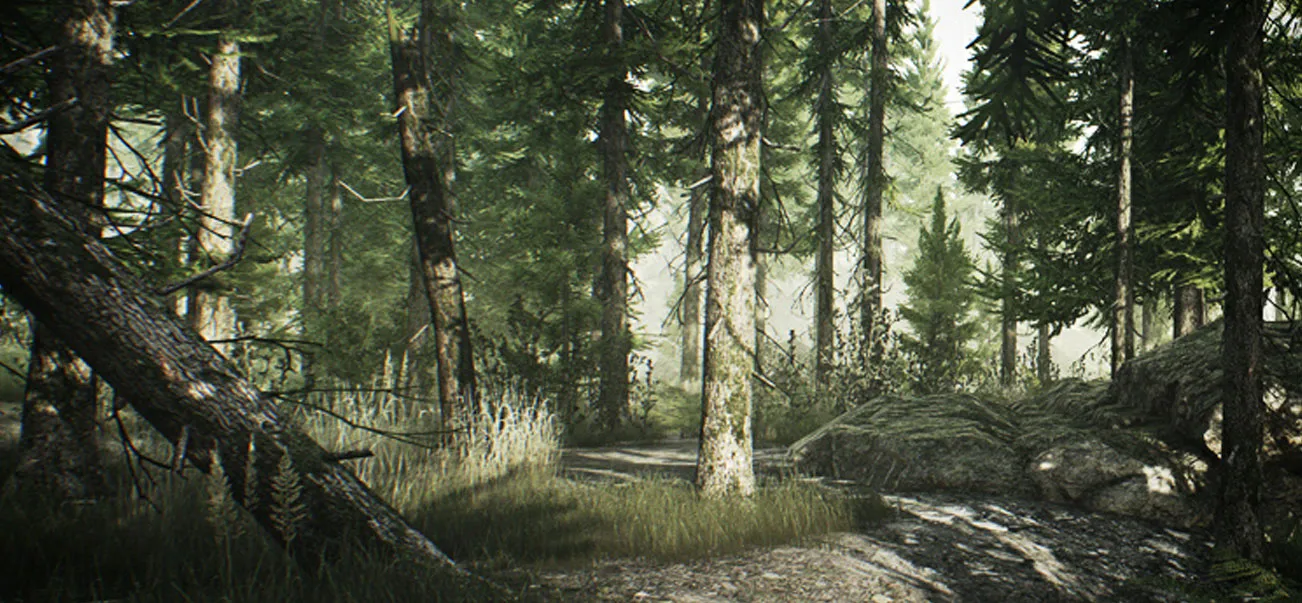 Woods